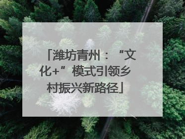 潍坊青州：“文化+”模式引领乡村振兴新路径